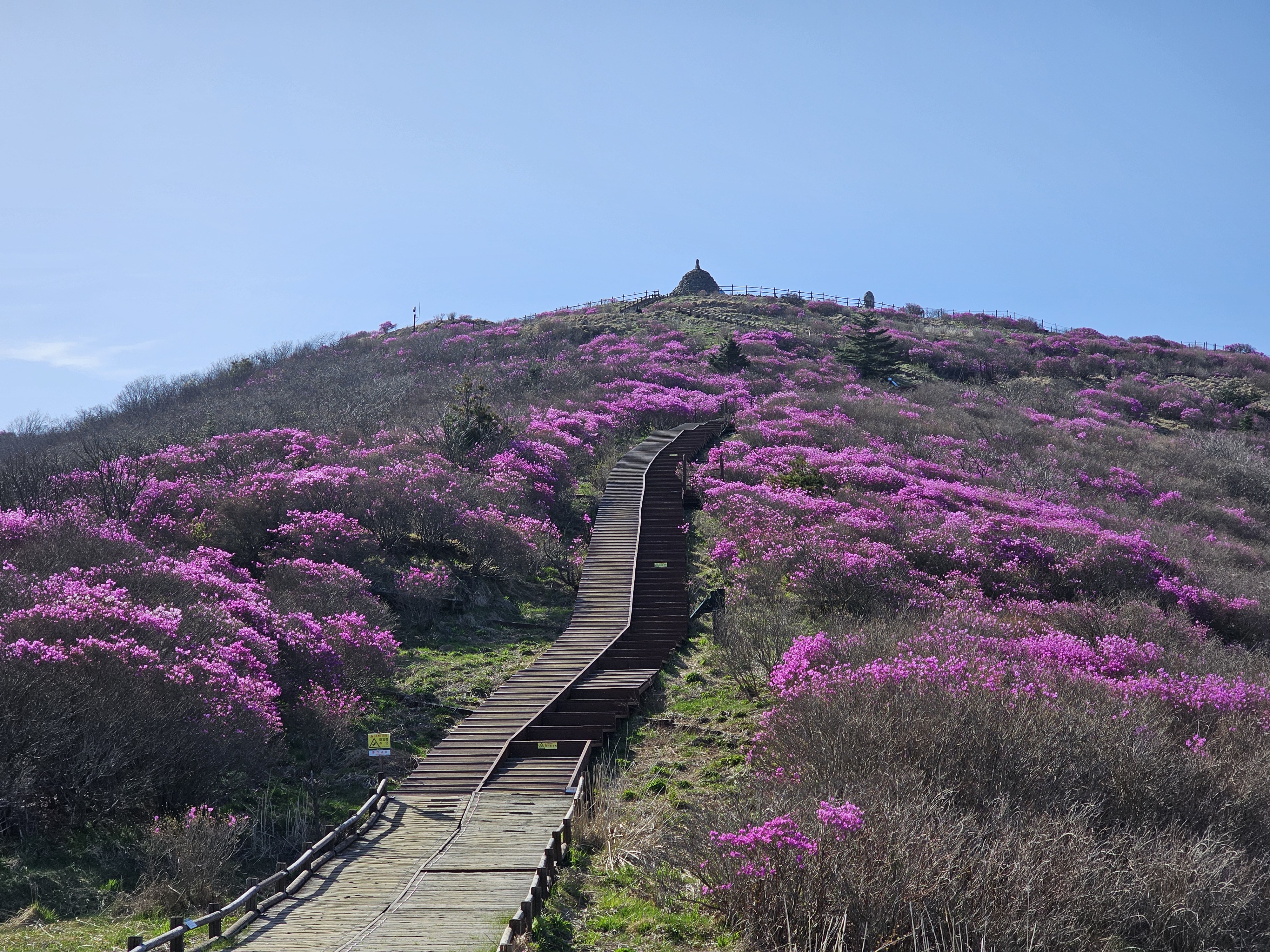 지리산전남사무소 노고단 정상.jpg