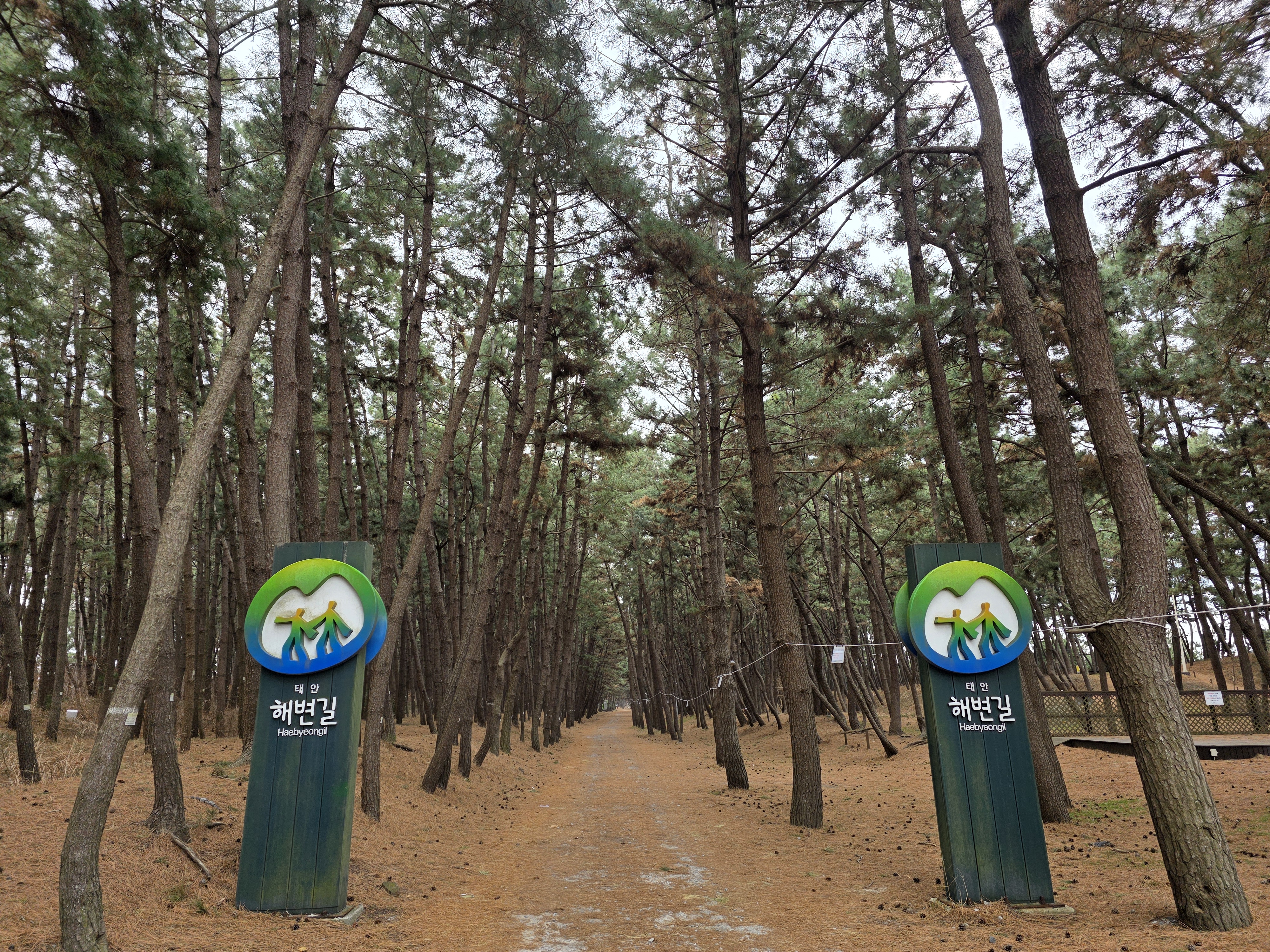 태안해안사무소_삼봉 (1).jpg