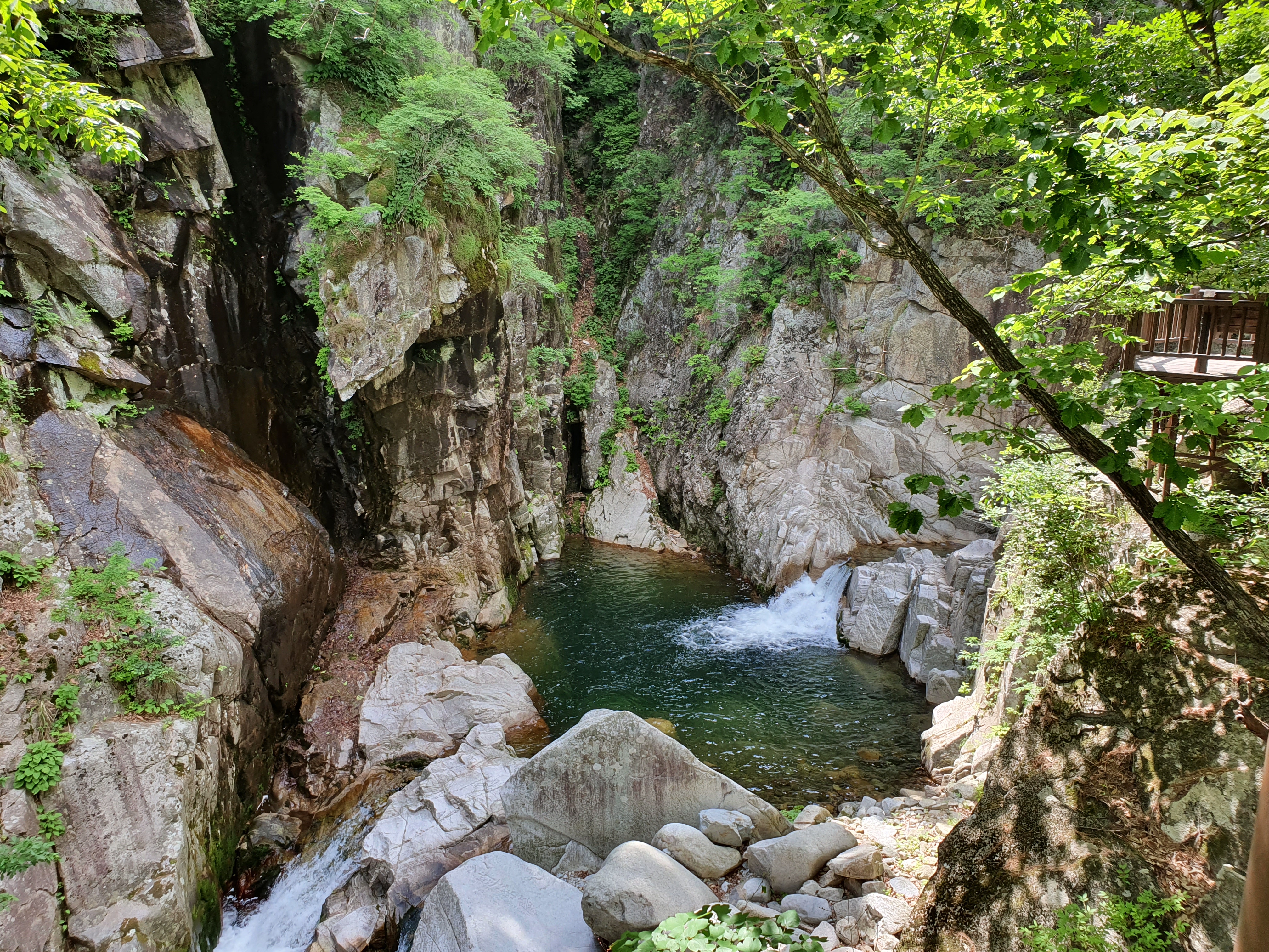 20190612_142131.jpg