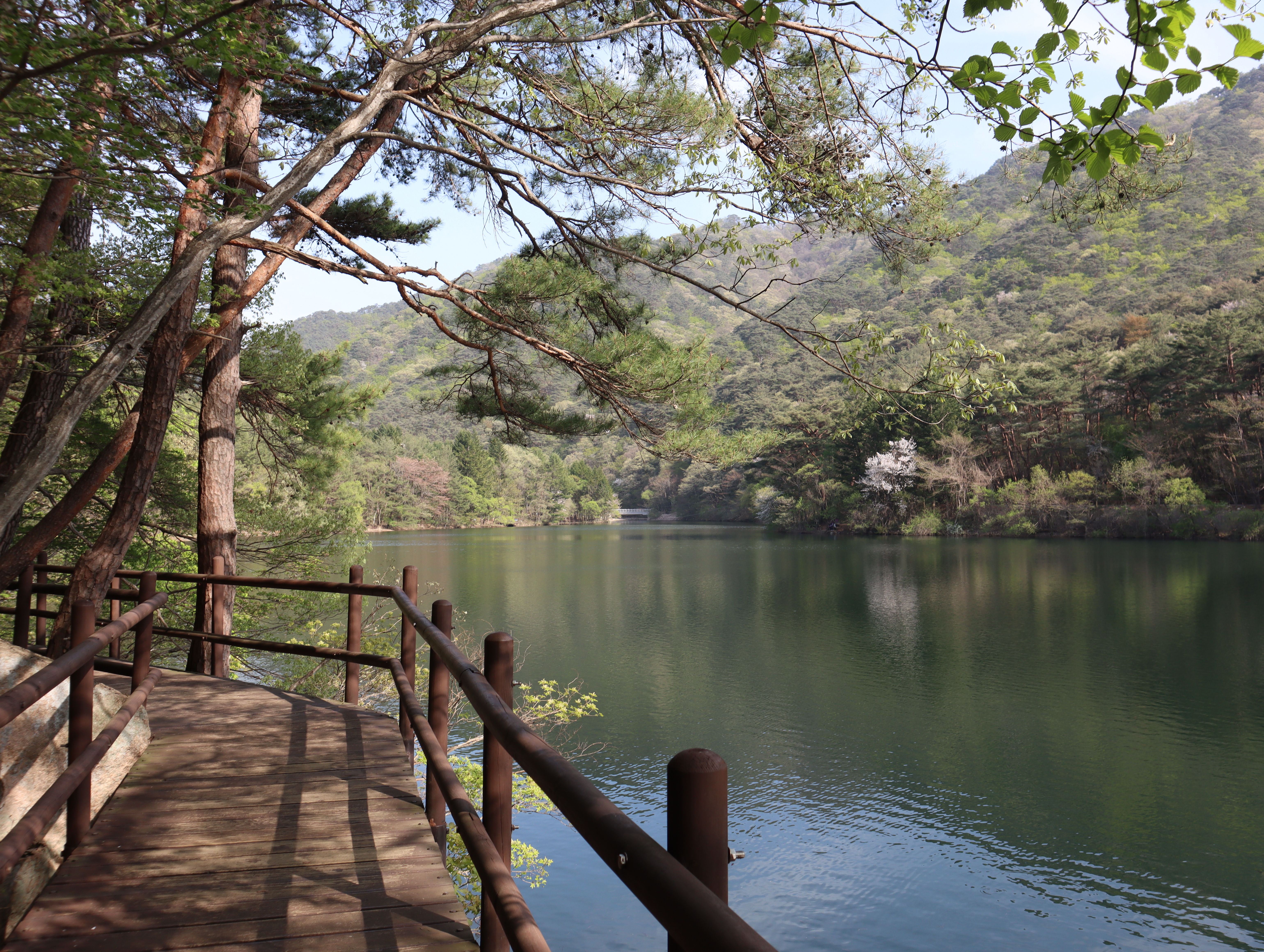 속리산국립공원 세조길.JPG