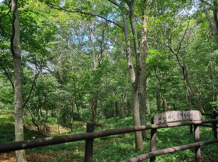 가마터삼거리03