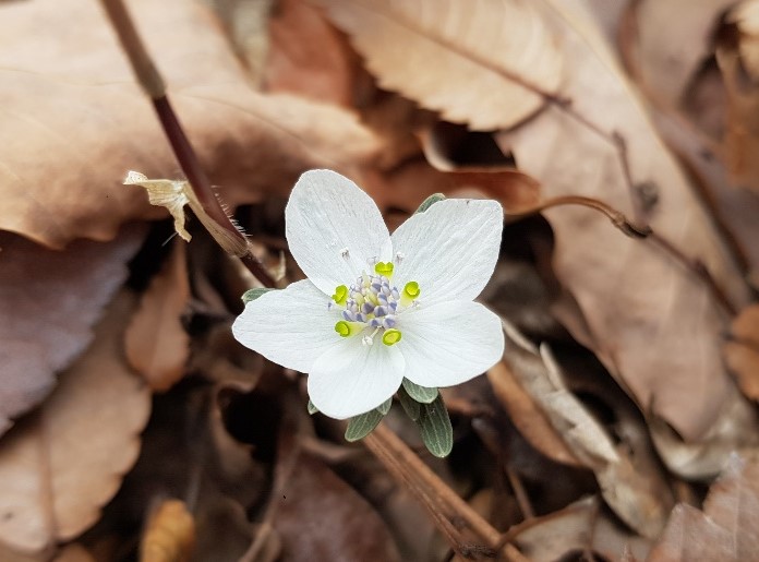 가마터삼거리04