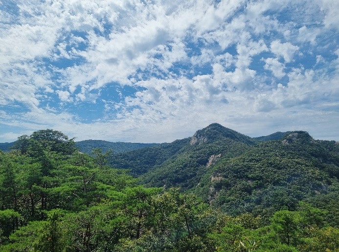 가마터삼거리05