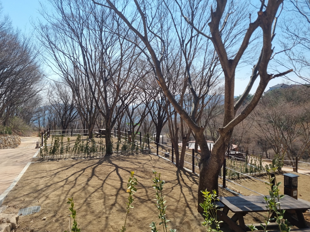 자동차야영장(마사토)