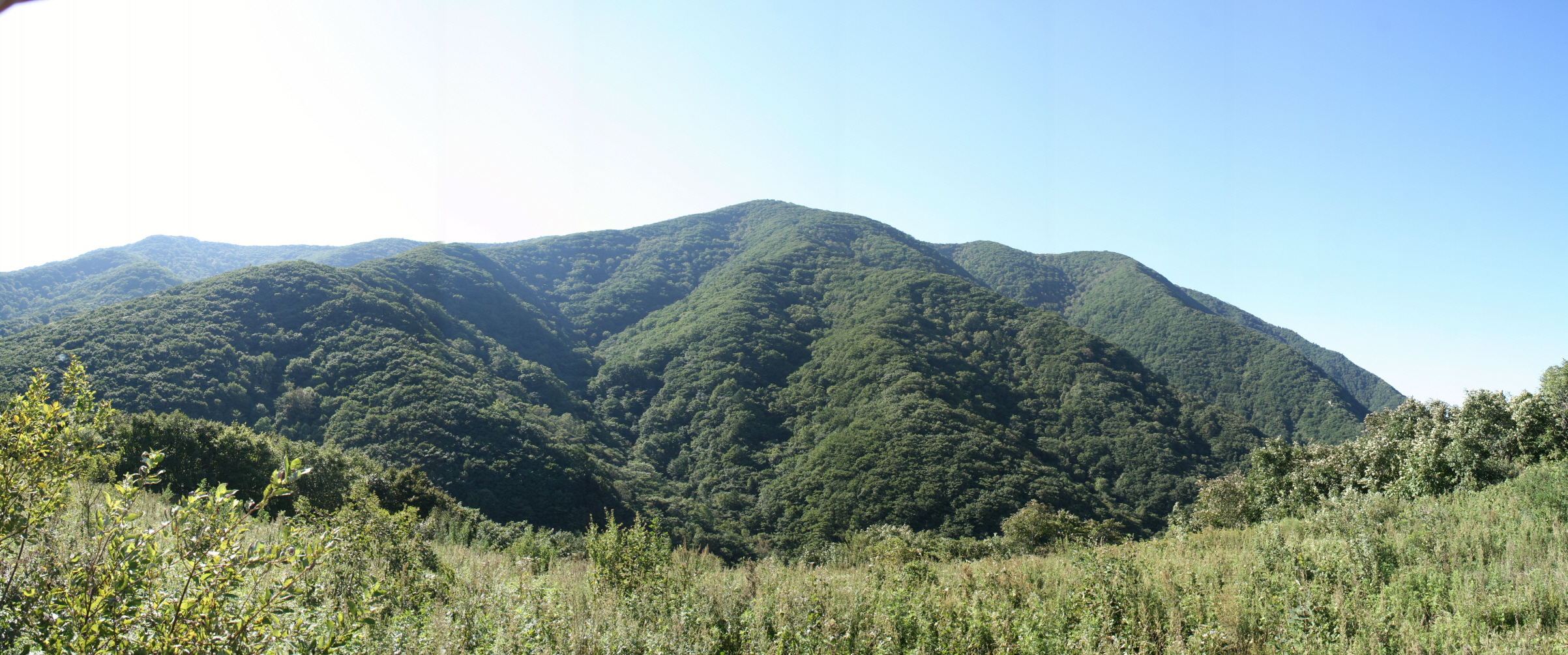 오대산 동대산_3