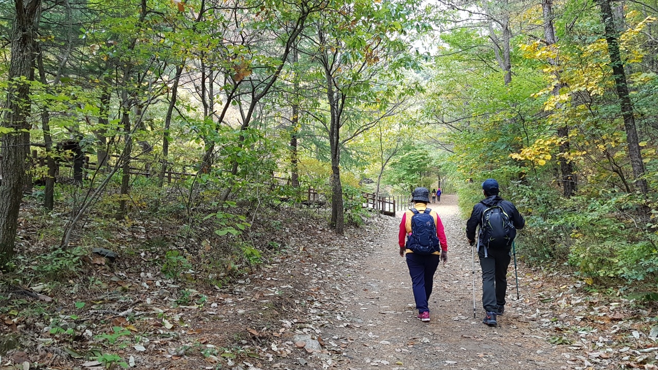 경주 암곡~무장봉_1