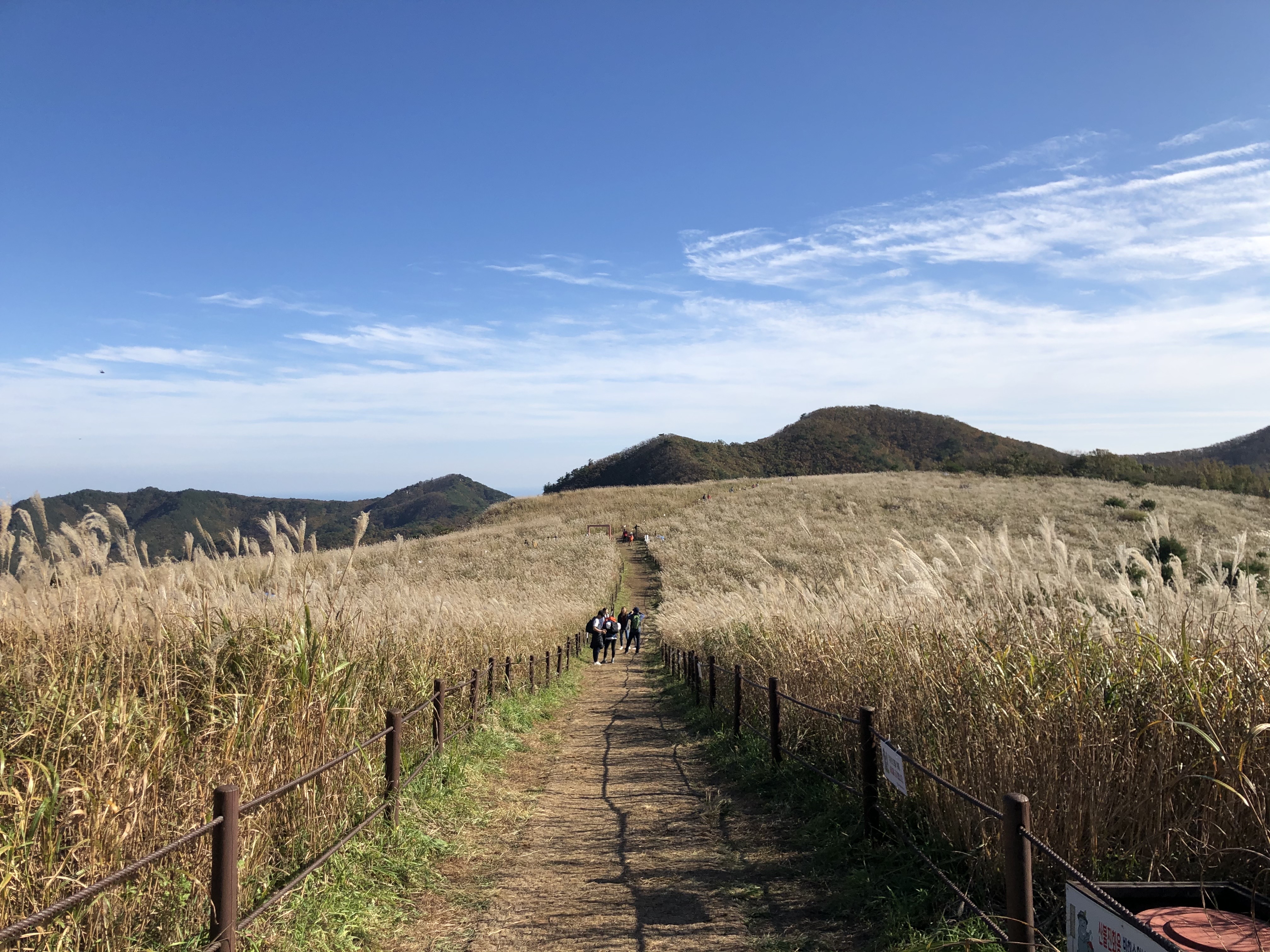 경주 암곡~무장봉_3