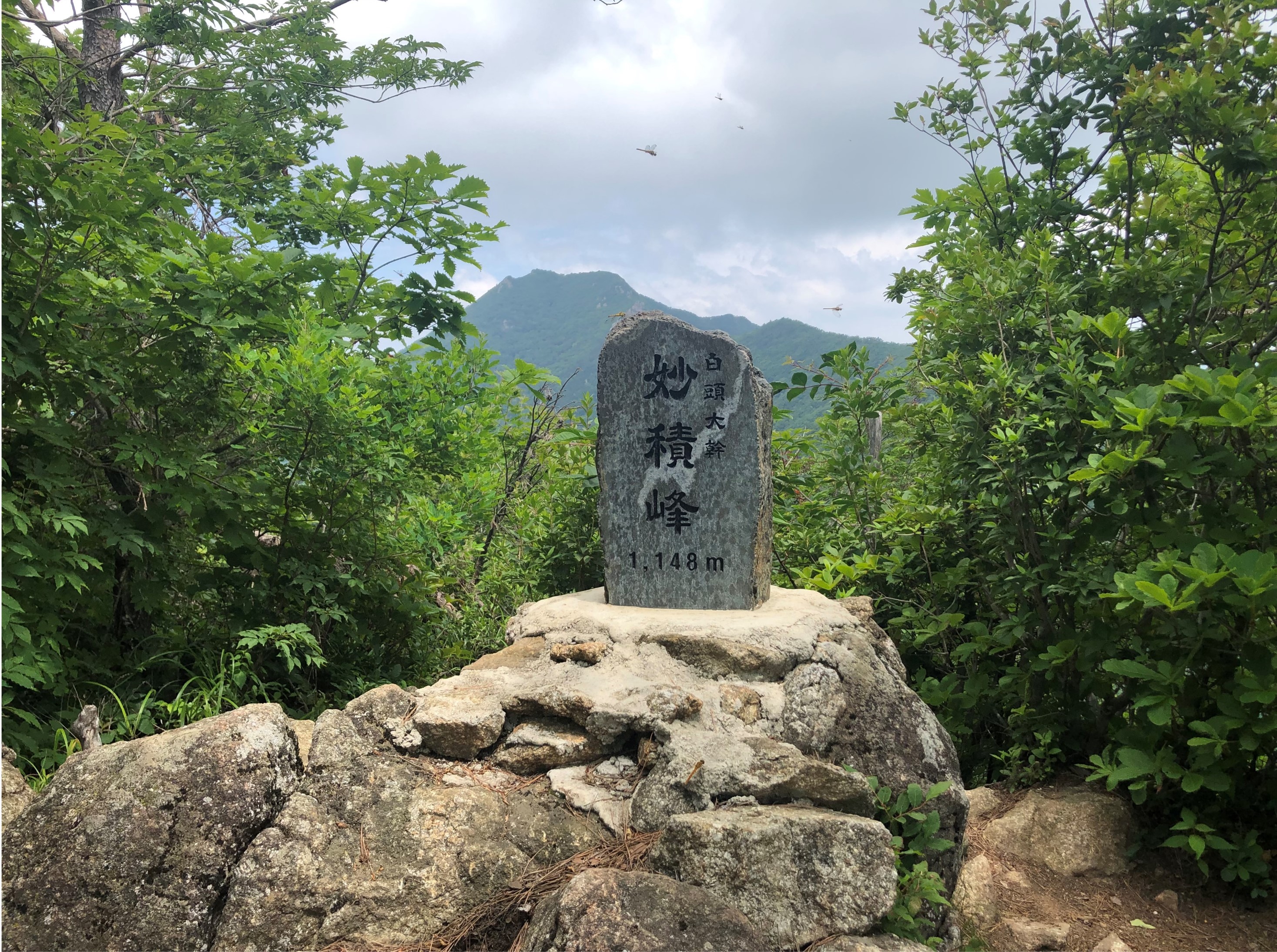 소백산 묘적령~죽령_1