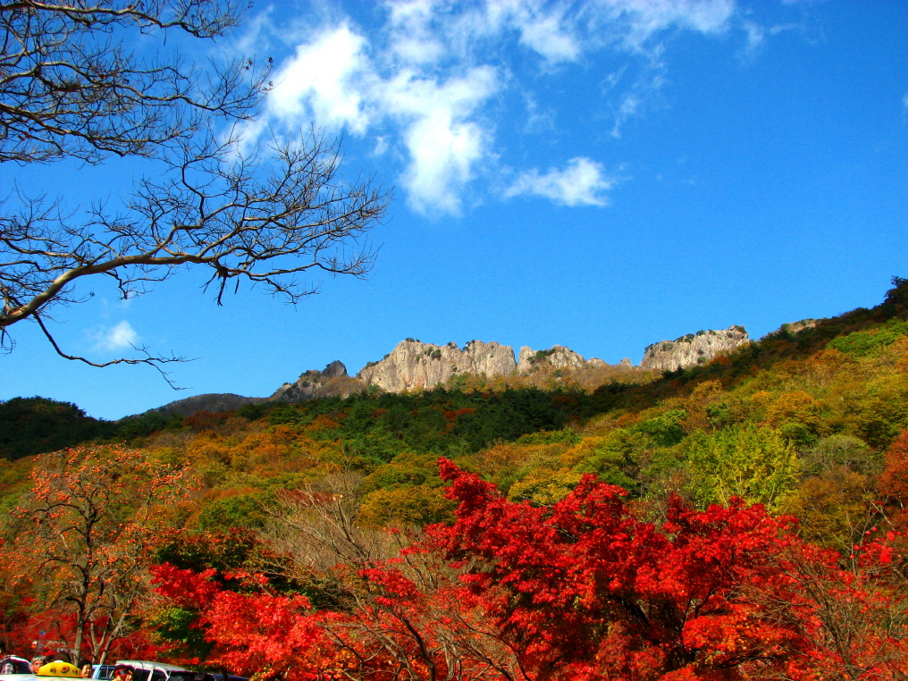 내장산 서래봉_3