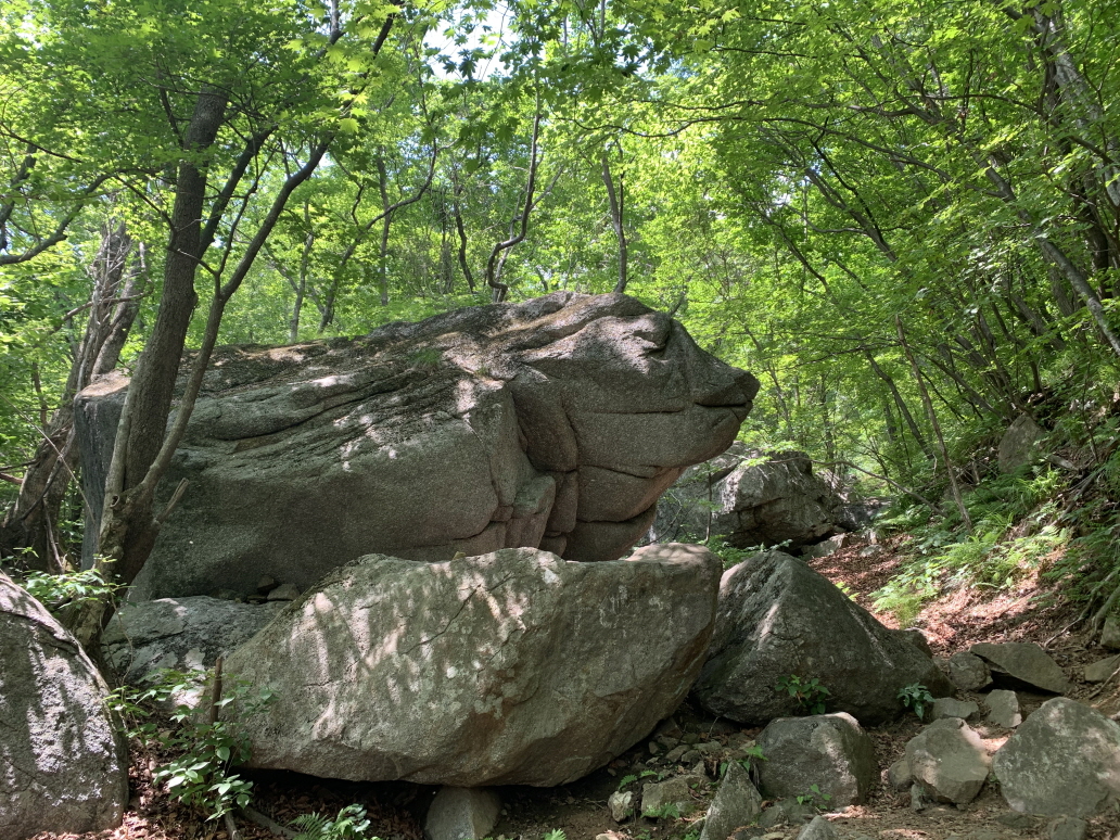 소백산 초암사~국망봉_3