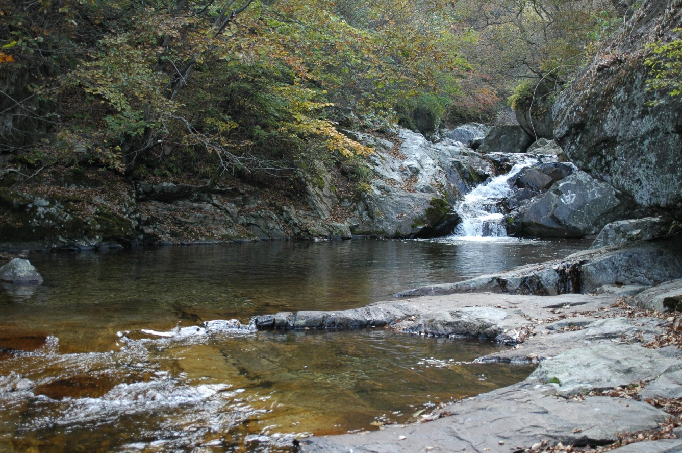 소백산 초암사~국망봉_4