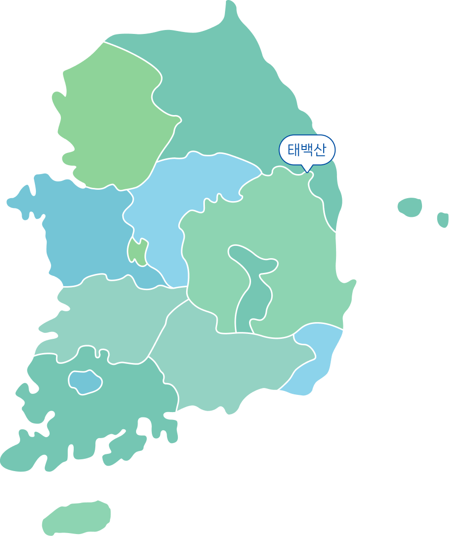 민박촌 지도